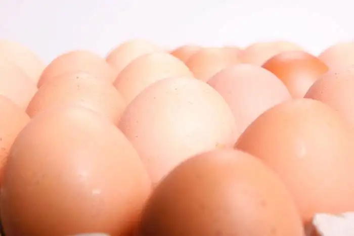 stockvault-eggs123898