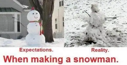 expectation-reality-snowman